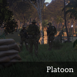 Platoon