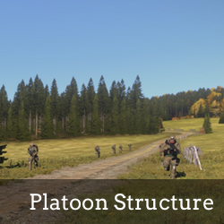 Platoon Structure